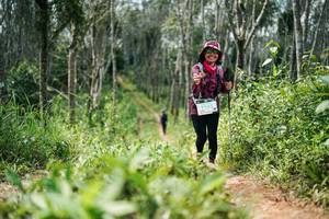 BIB: 
                            <button type="button" onclick="openModal(26294040)" class="btn btn-primary btn-sm float-right btn-popup" data-toggle="modal" data-target=".modal-high-quality">
                        <i class="fas fa-shopping-cart"></i> Add to Cart
                    </button>
                                            <button type="button" onclick="isThisMe(26294040, true)" class="btn btn-success btn-sm float-right btn-popup btn-isme hidden" data-toggle="tooltip" data-placement="bottom" title="นี่คือรูปของคุณใช่ไหม คลิกที่นี่เพื่อเอาเข้าอัลบั้ม">
                        <i class="fas fa-plus"></i> Add to album
                    </button>
                    <button type="button" onclick="isThisMe(26294040, false)" class="btn btn-warning btn-sm float-right btn-popup btn-isnotme hidden">
                        <i class="fas fa-ban"></i> Remove from album
                    </button>